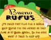 Kim Possible Bueno Rufus Game